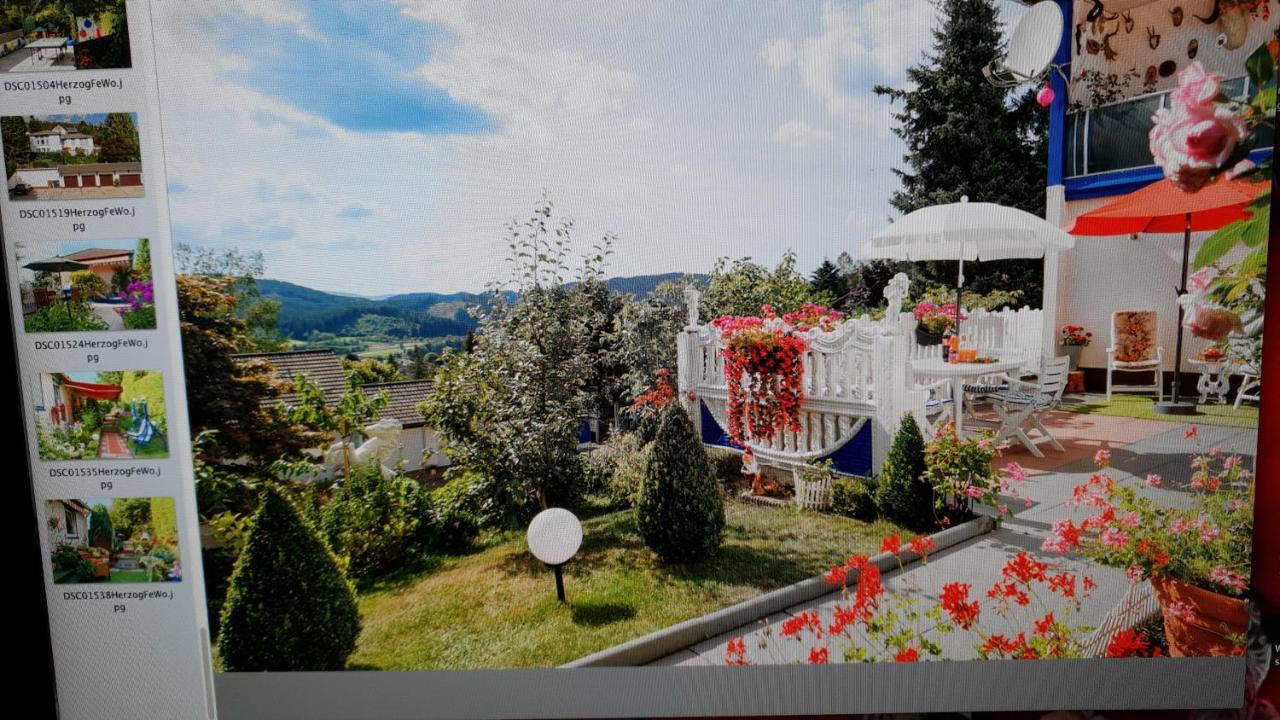 Ferienhaus Haus Herzog Titisee-Neustadt Εξωτερικό φωτογραφία
