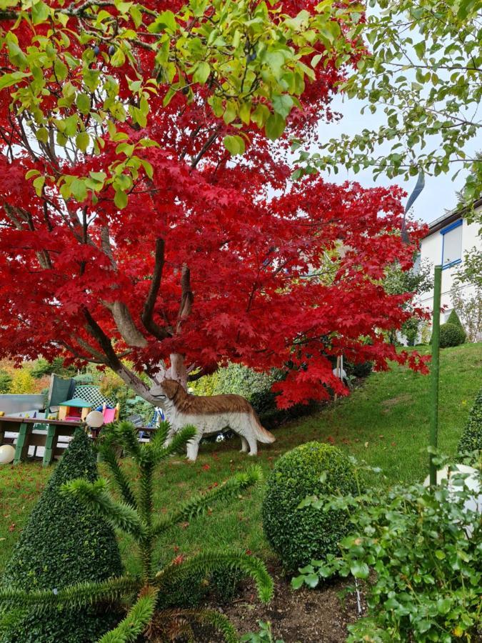 Ferienhaus Haus Herzog Titisee-Neustadt Εξωτερικό φωτογραφία
